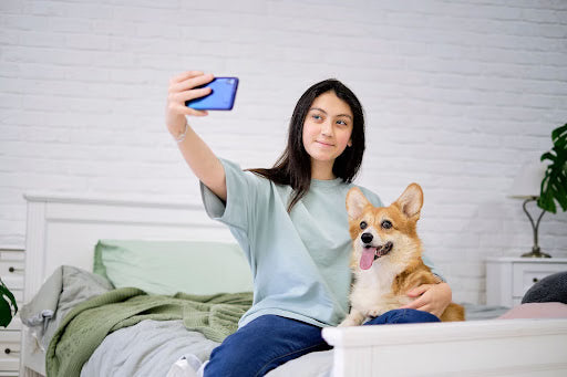 Make Your Pet Instagram-Famous in 15 Steps