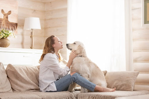 In Good Hands: An Ideal Day in the Life of Pet Sitting Services