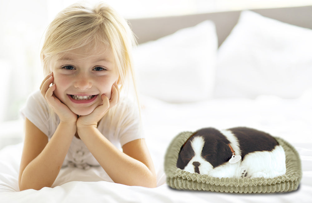 Allergic to Pets? Here's a Realistic and Huggable Alternative Minus the Allergic Reaction