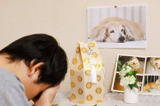 In Furry Memories: How to Help a Friend Handle the Loss of a Pet