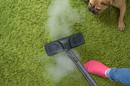 How to Deal With Common Pet Cleaning Challenges