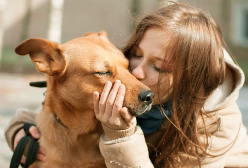 6 Ways to Say “I Love You” to Your Pets on National Love Your Pet Day