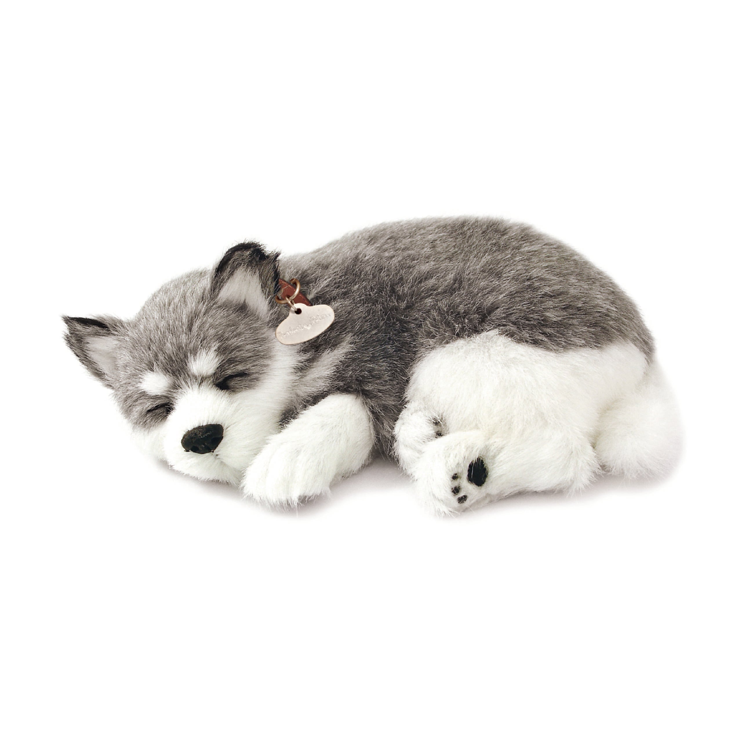 Original Alaskan Husky Perfect Petzzz