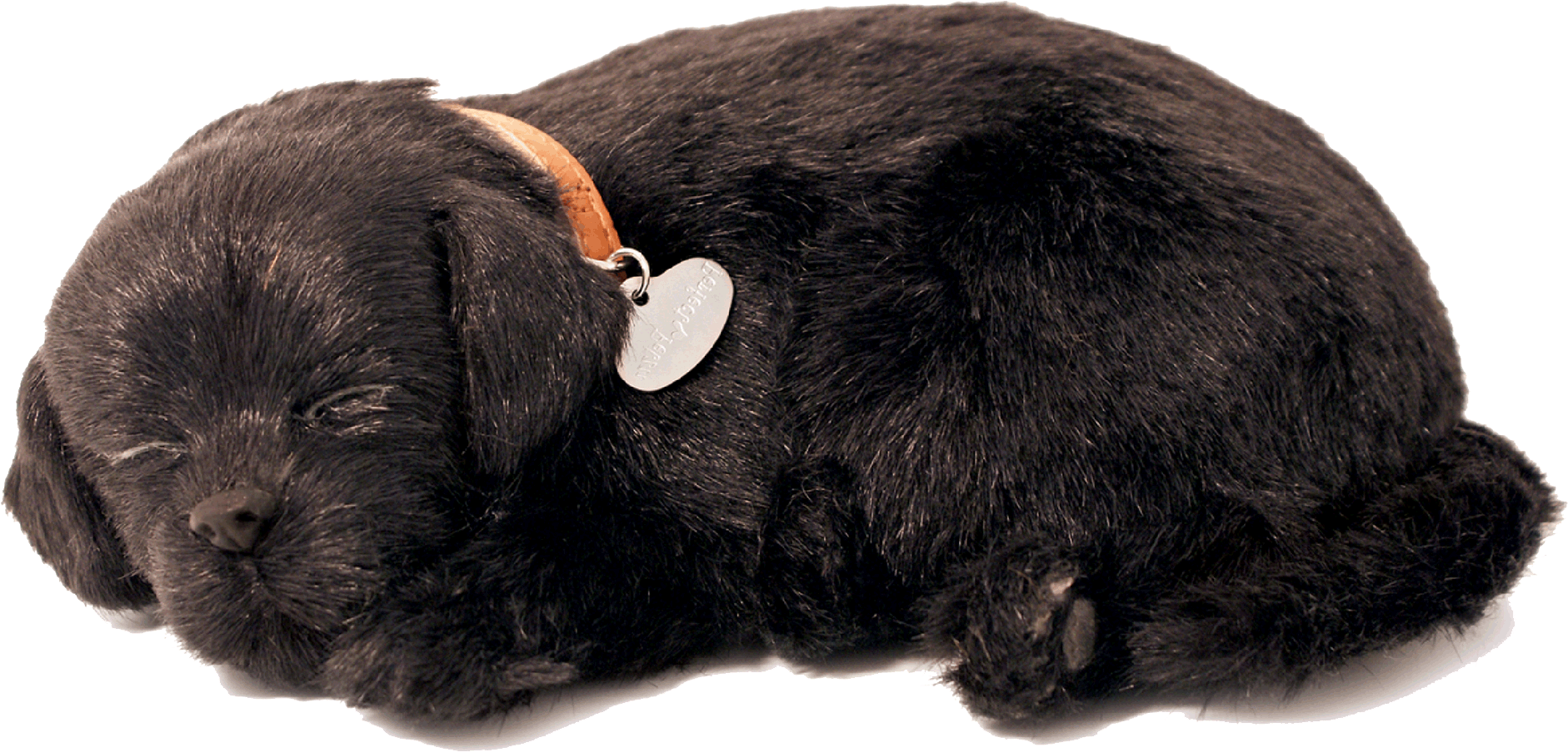 Original Black Lab Perfect Petzzz - image 2