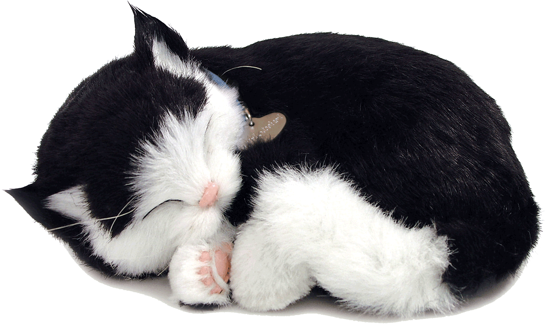 Original Black & White Kitten Perfect Petzzz - image 2