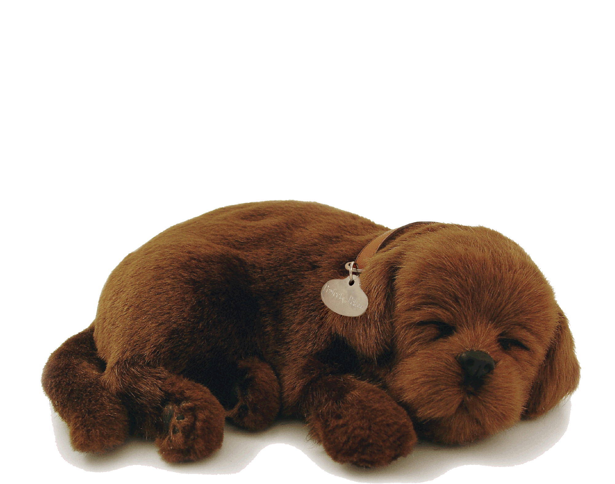 Original Chocolate Lab Perfect Petzzz - image 2