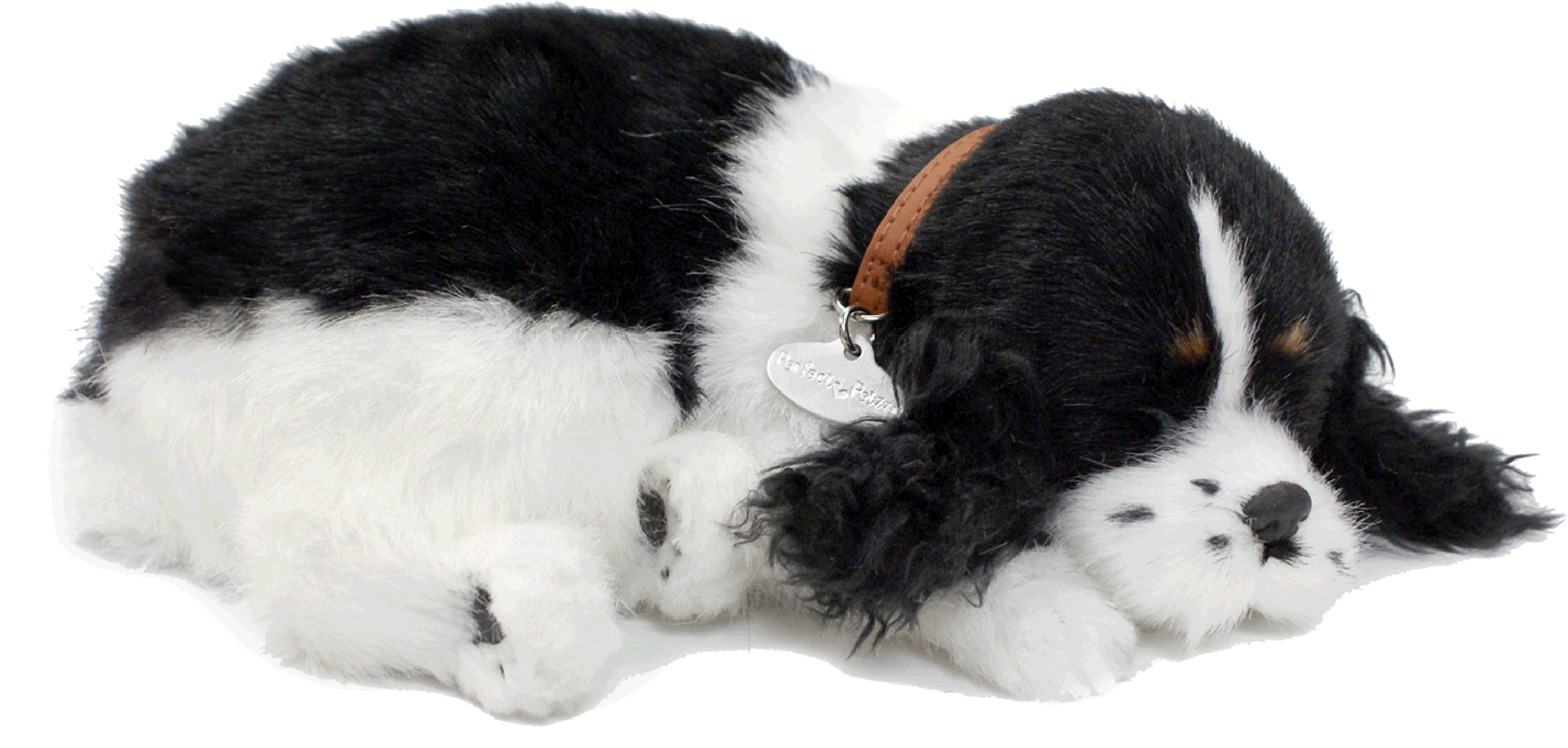 Original Cocker Spaniel Perfect Petzzz - image 2