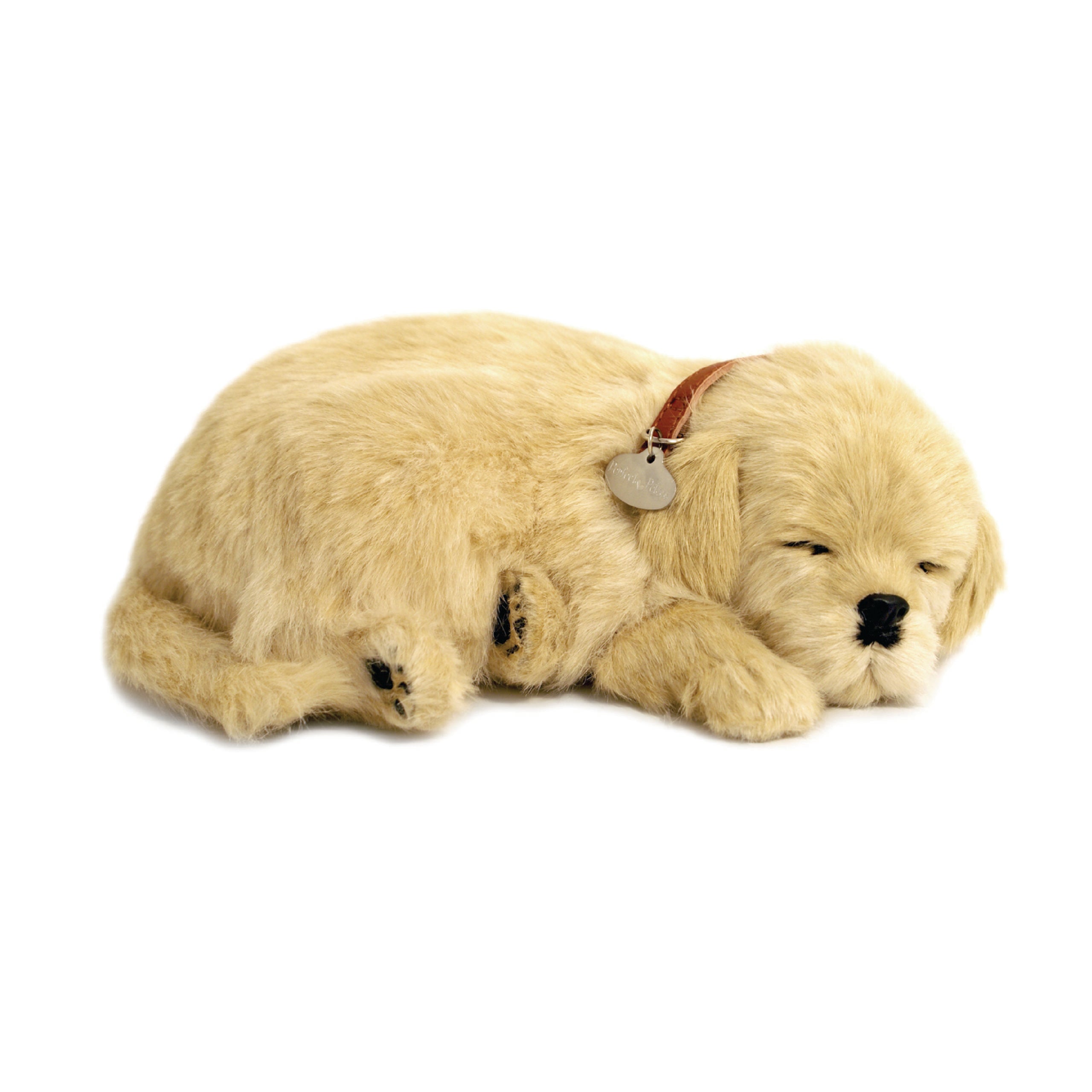 Original Golden Retriever Perfect Petzzz