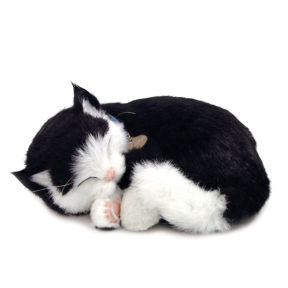 Original Black & White Kitten Perfect Petzzz