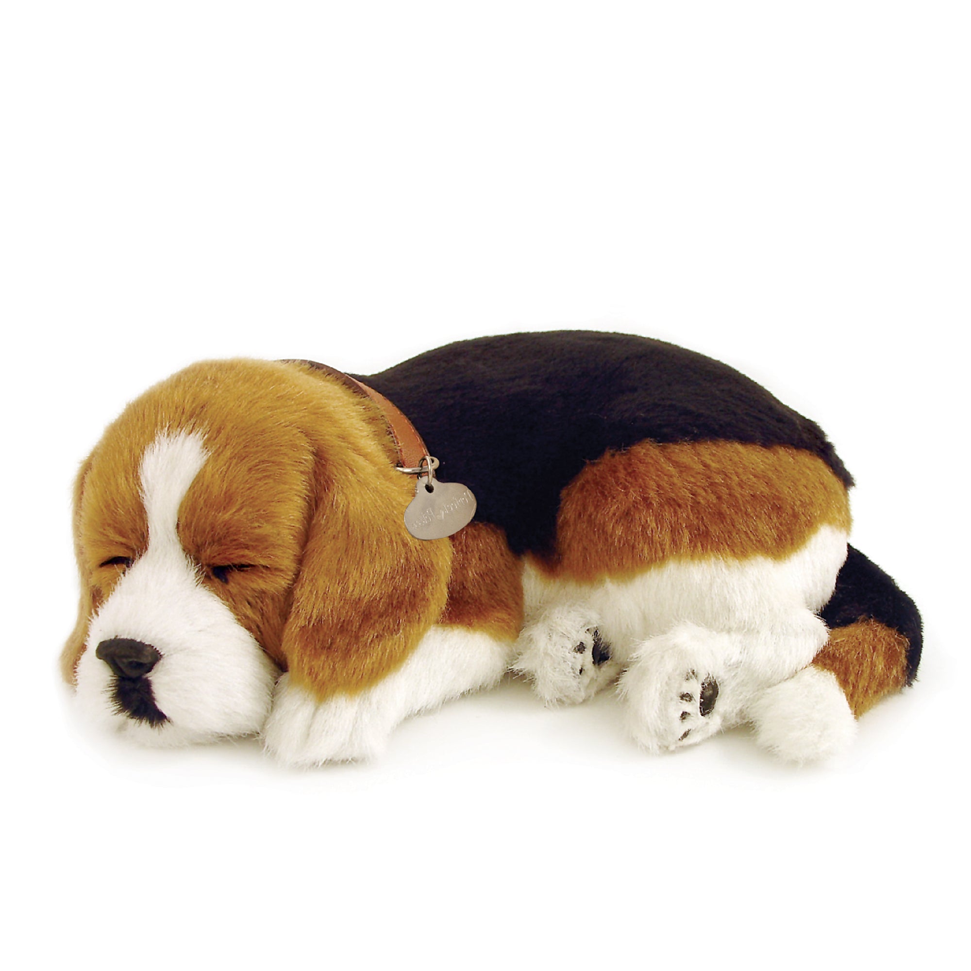 Original Beagle Perfect Petzzz