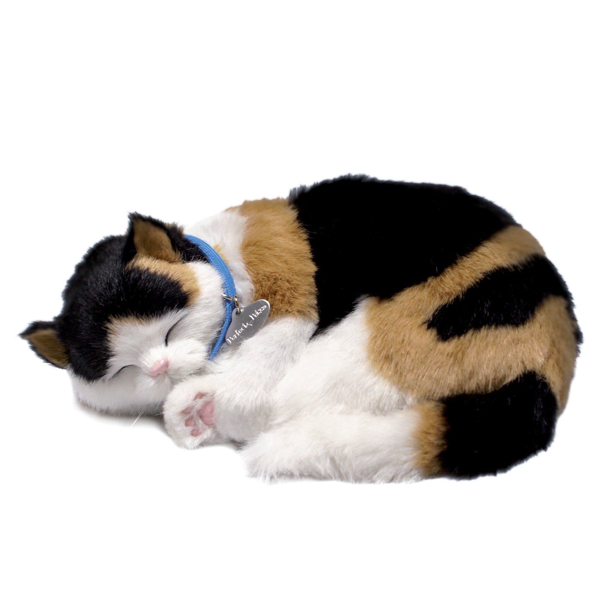Original Calico Kitten Perfect Petzzz
