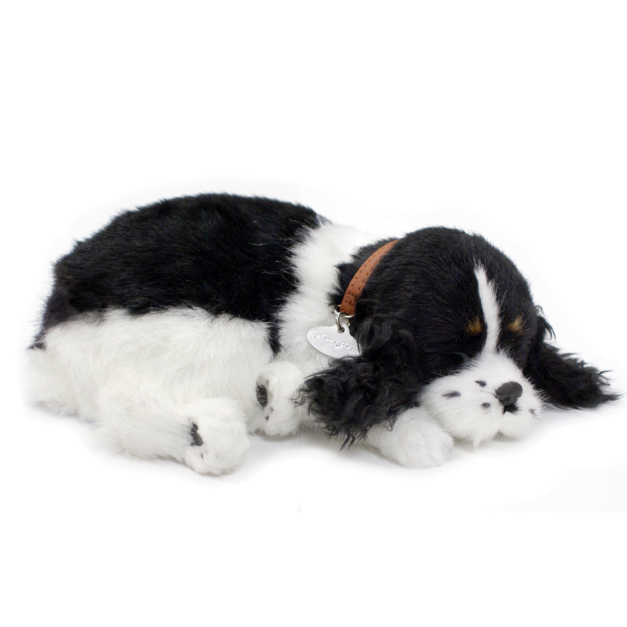 Original Cocker Spaniel Perfect Petzzz