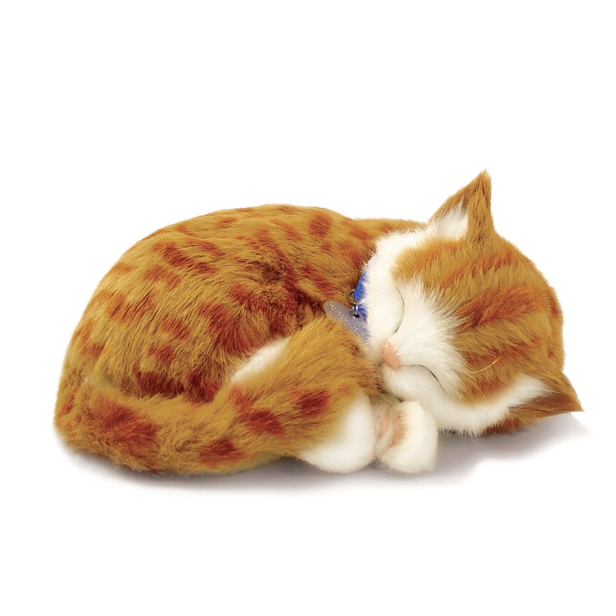 Original Orange Tabby Kitten Perfect Petzzz