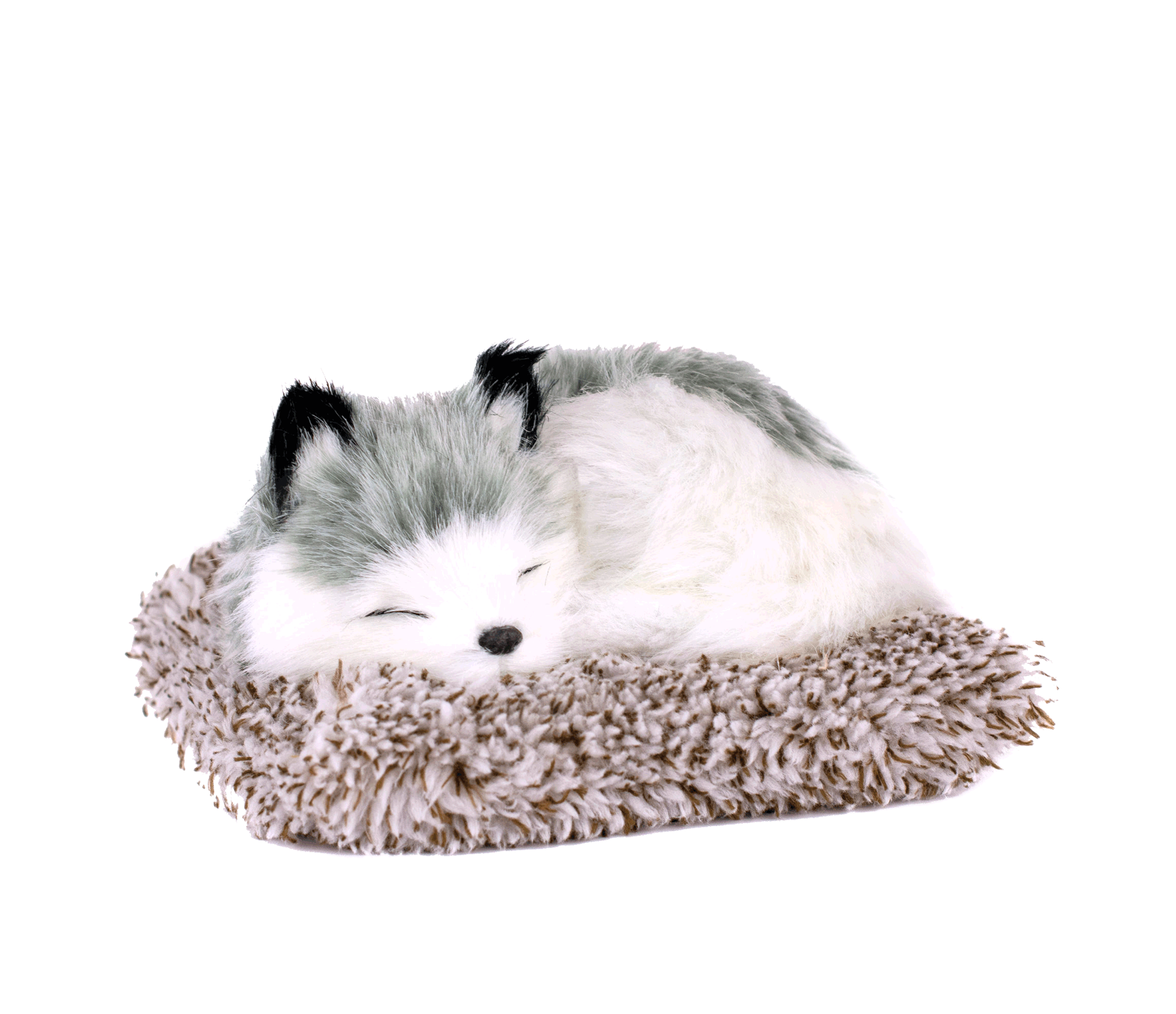 Mini Alaskan Husky Perfect Petzzz - image 2