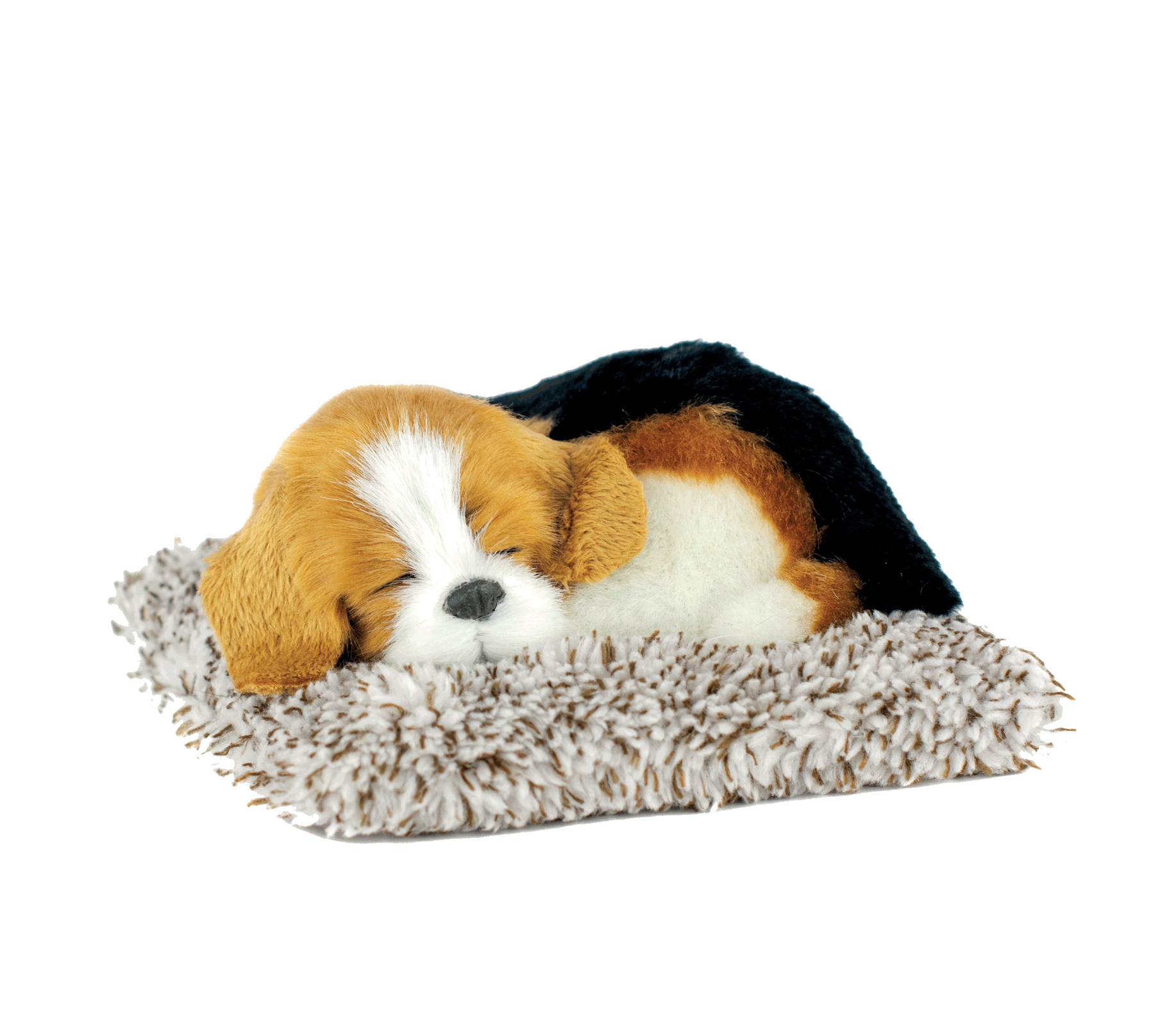 Mini Beagle Perfect Petzzz - image 2