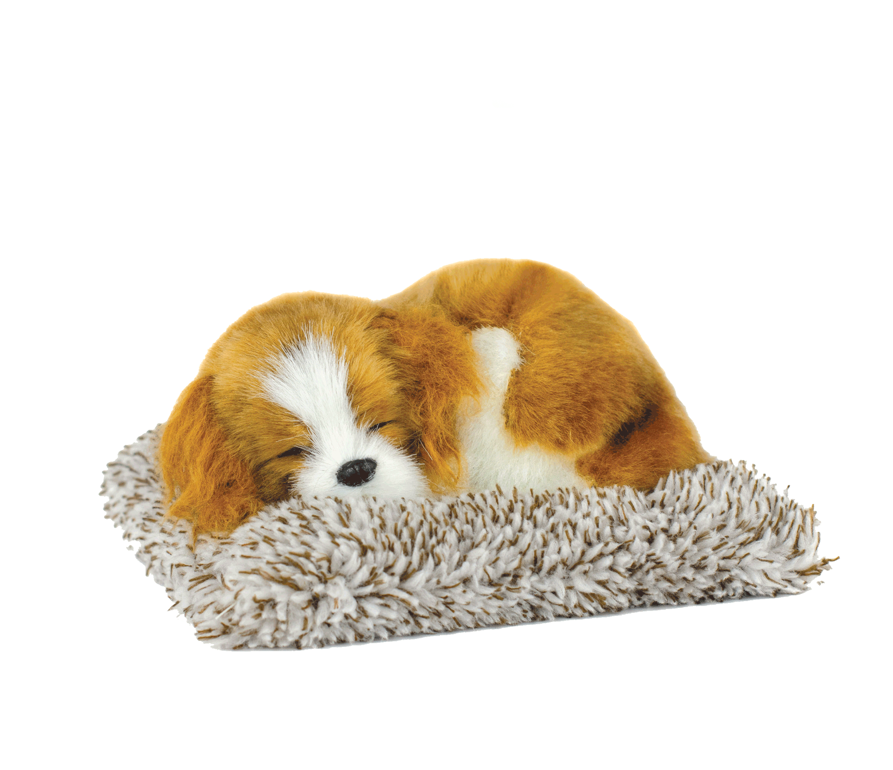 Mini Cavalier King Charles Perfect Petzzz - image 2