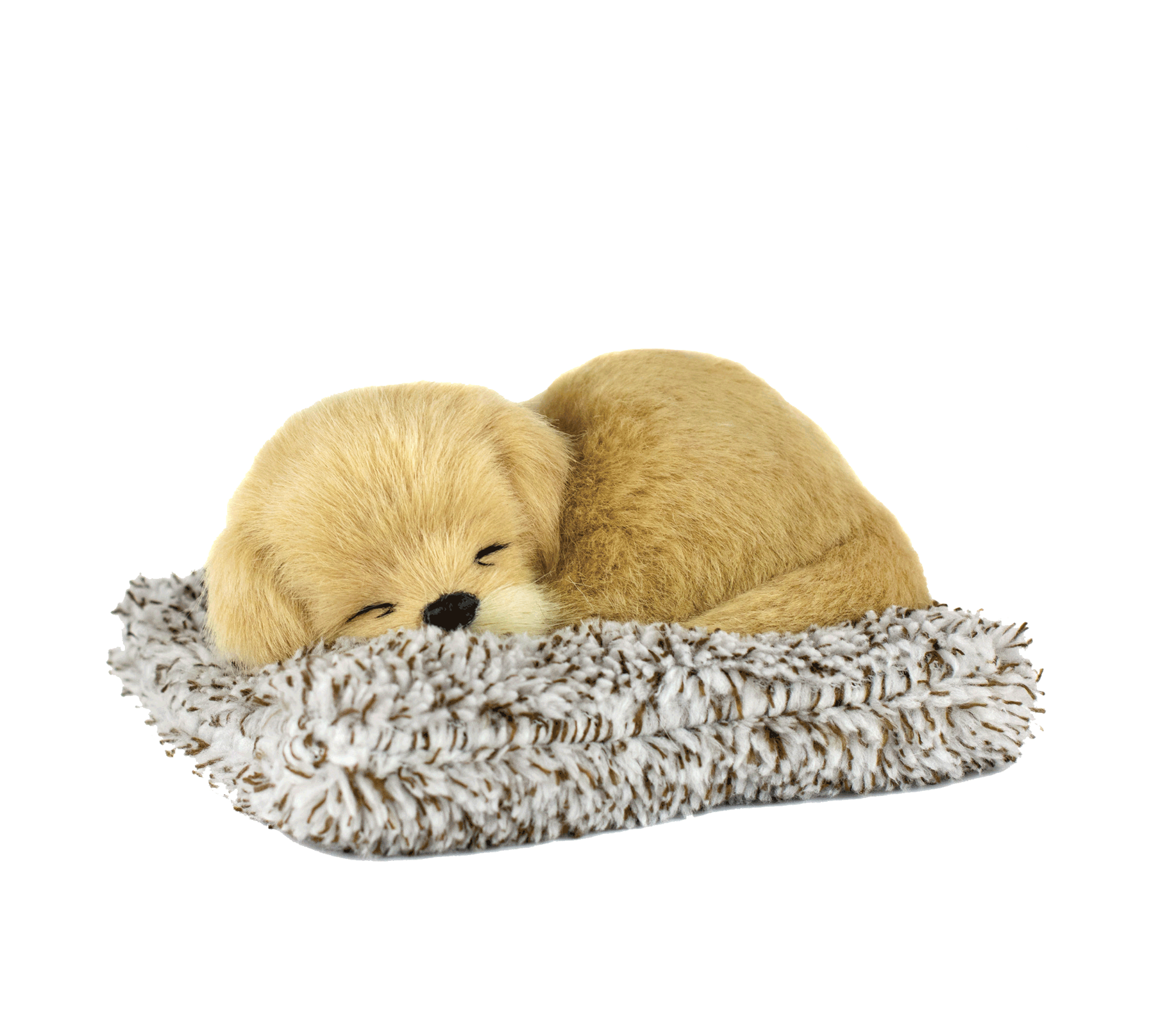 Mini Golden Retriever Perfect Petzzz - image 2