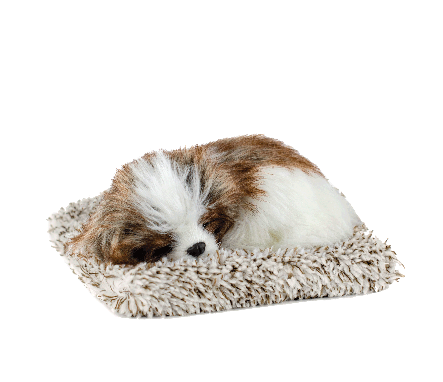 Mini Shih Tzu Perfect Petzzz - image 2