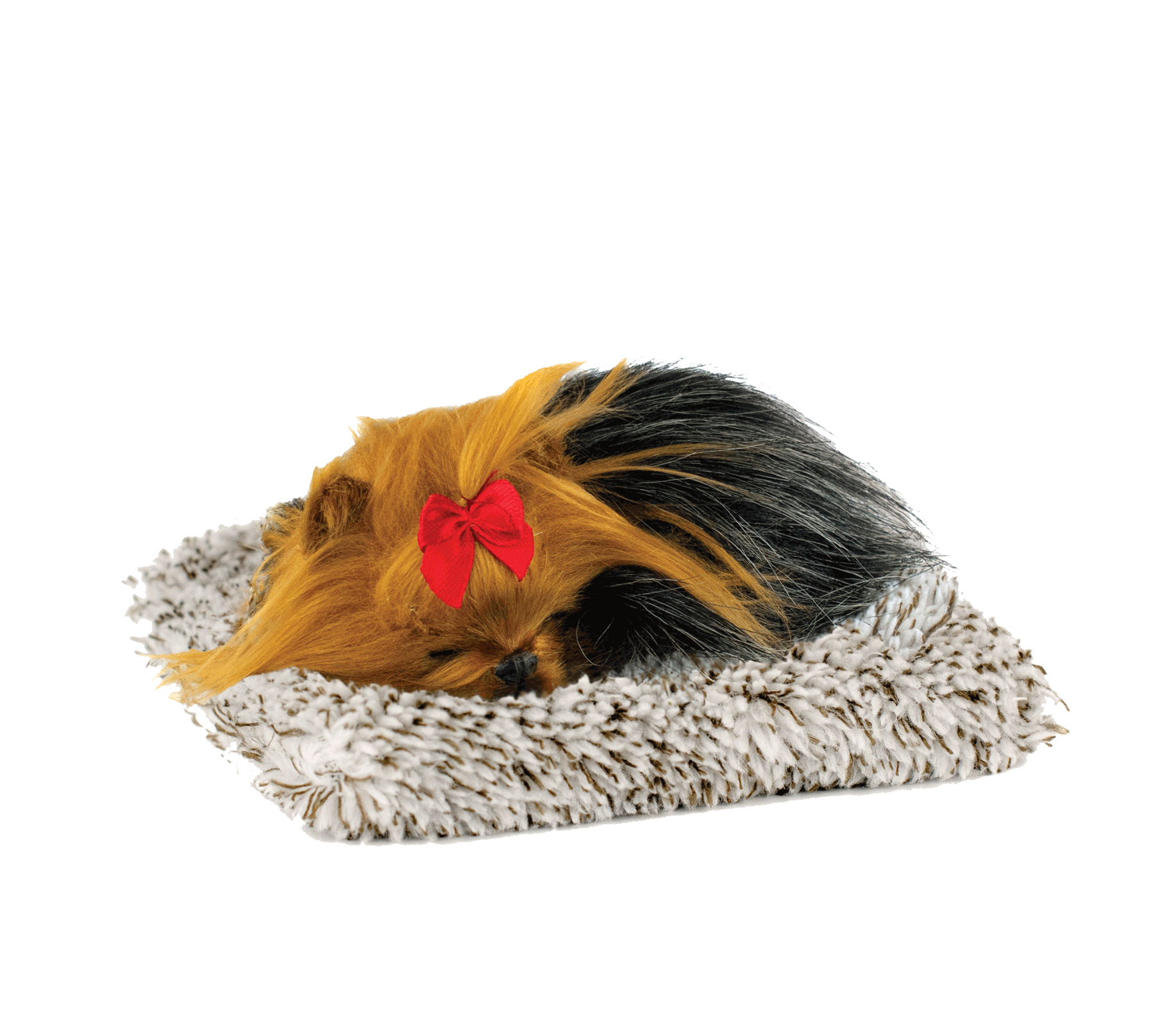 Mini Yorkie Perfect Petzzz - image 2