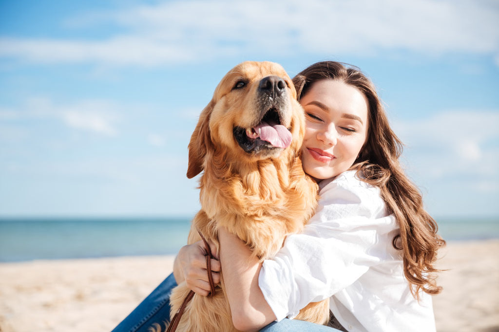 How to Build a Strong Bond with Your Dog