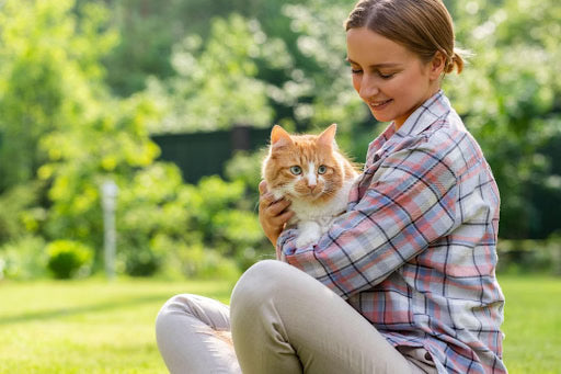 Cat Adoption Checklist: Everything You Need to Consider Before Adopting a Cat