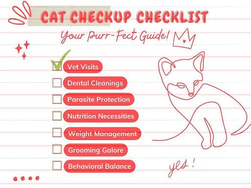 Here’s Your Guide to a Holistic Cat Checkup Checklist