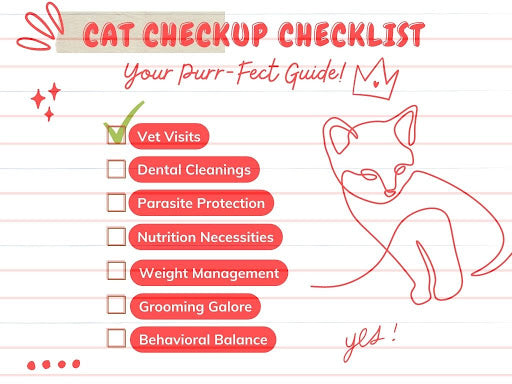 Here’s Your Guide to a Holistic Cat Checkup Checklist