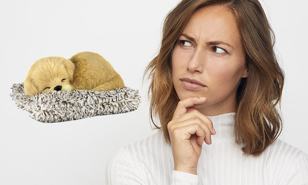 7 Questions You Must Ask Yourself Before Choosing A Pet For Your Kids