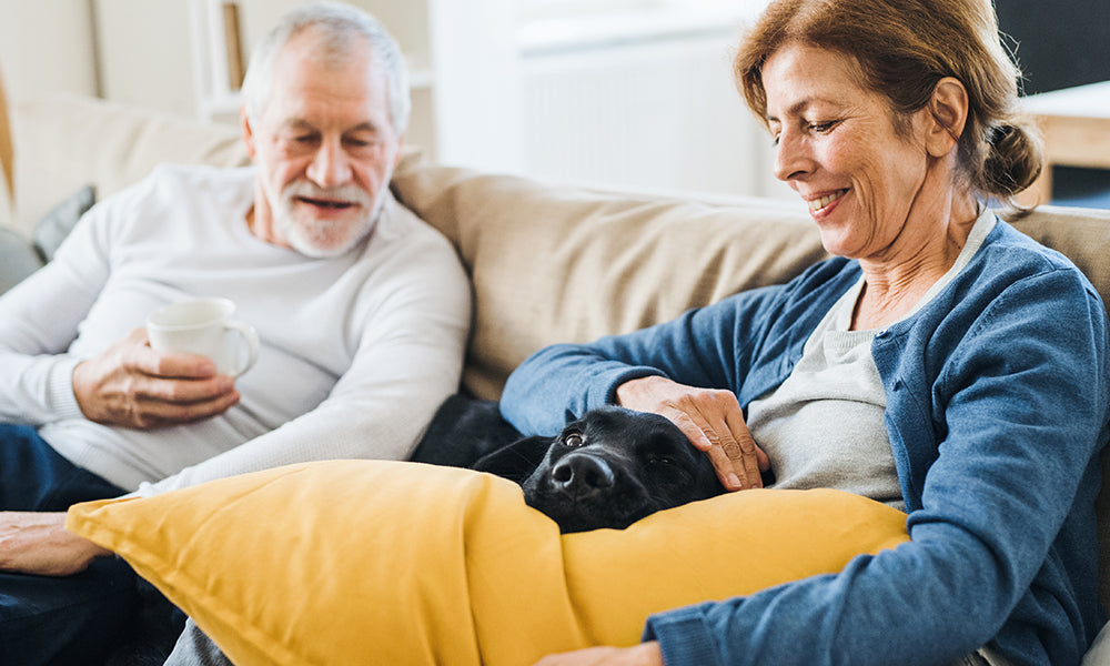 7 Fun Activities for the Elderly in Assisted Living Facilities