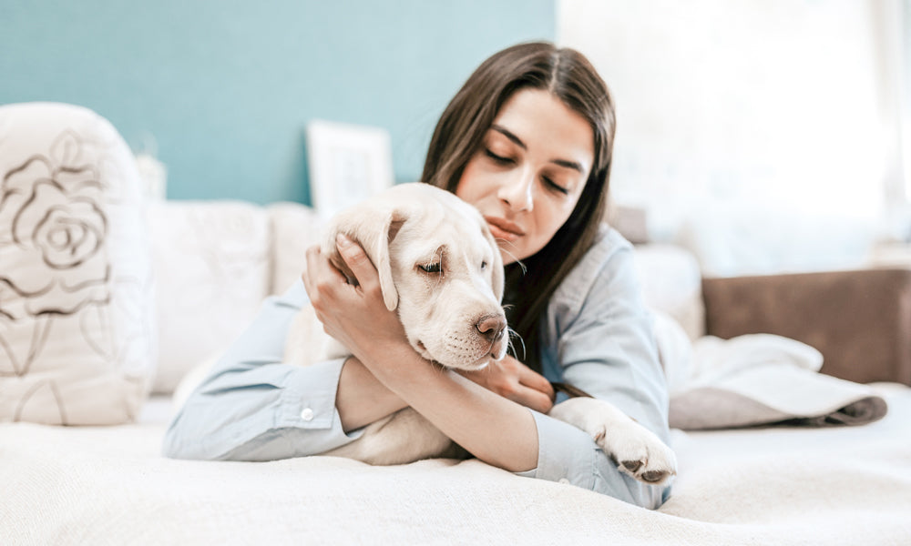 7 Factors to Consider Before Adopting a Pet