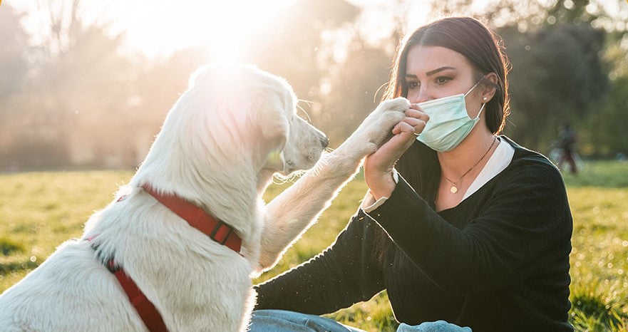 3 Socially-Distant Spring Activities You Can Do With Your Dog