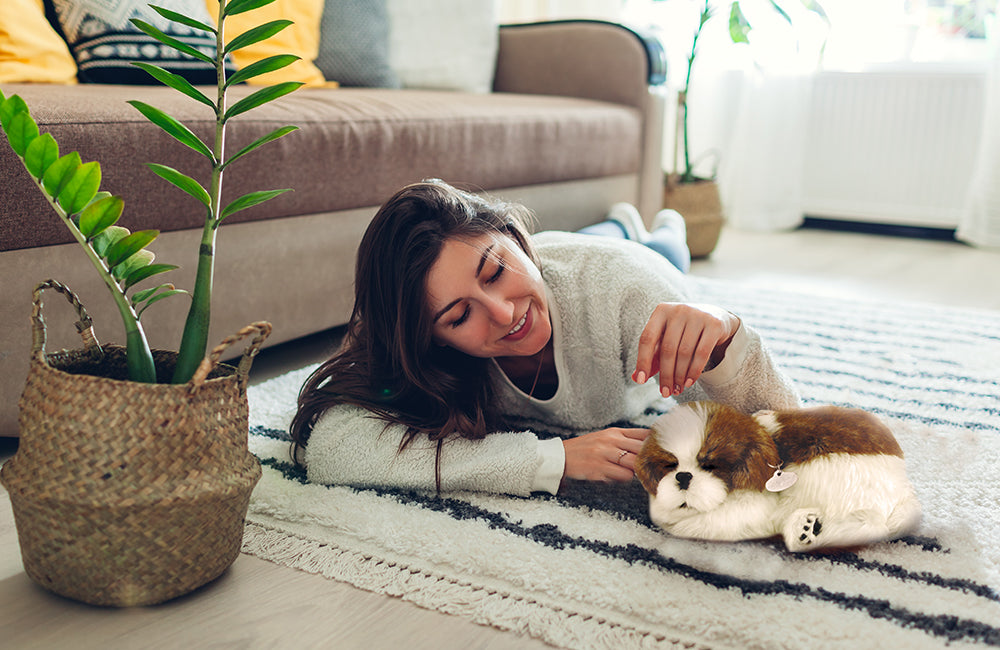 What to Do When Your Pet is Sick and How to Cope When You Lose Them