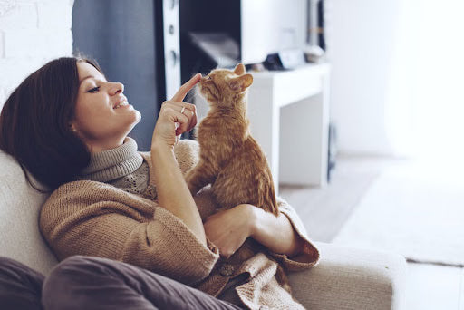 4 Ways to Celebrate Your Feline Friends on Happy Mew Year for Cats Day