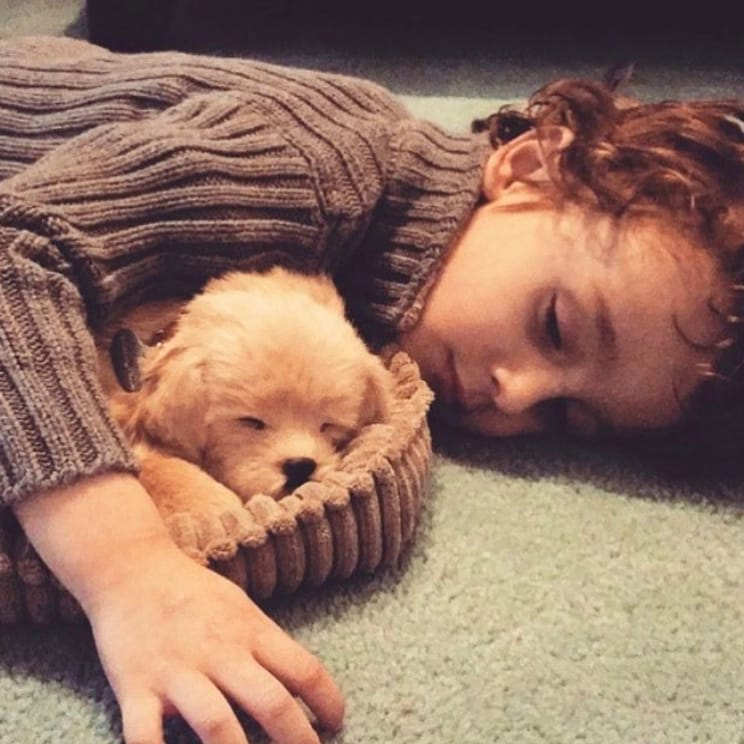 Perfect Petzzz: A Perfect Pet Alternative to Help Raise a Caring Child