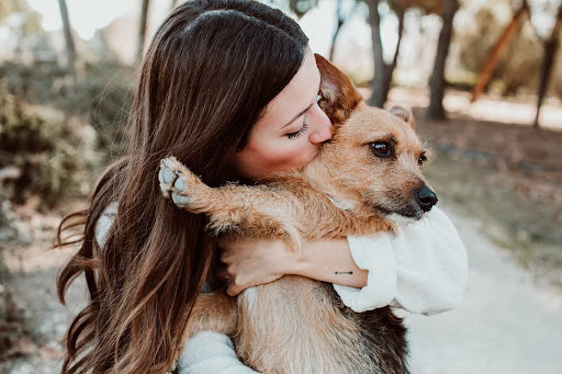 5 Wonderful Ideas to Celebrate Mother’s Day for Dog Moms