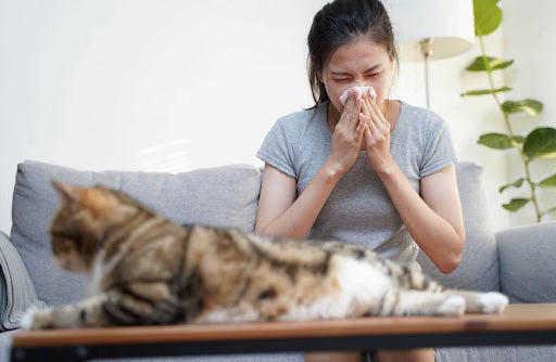 How to Live With Pets If You Have Pet Allergies