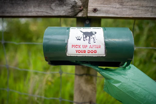 Poop Patrol: A Simple Guide to Picking Up After Your Dog