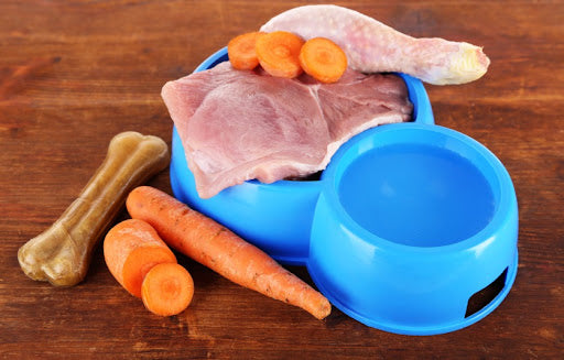 The Safety of Raw Feeding Puppies: Busting Myths and Baring the Risks