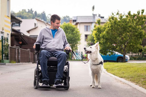Enabling the Disabled: The Different Types Of Service Animals