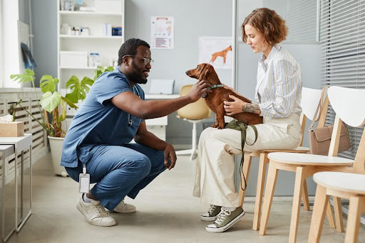 For Pet’s Sake: The Bare Necessities of Vet Care