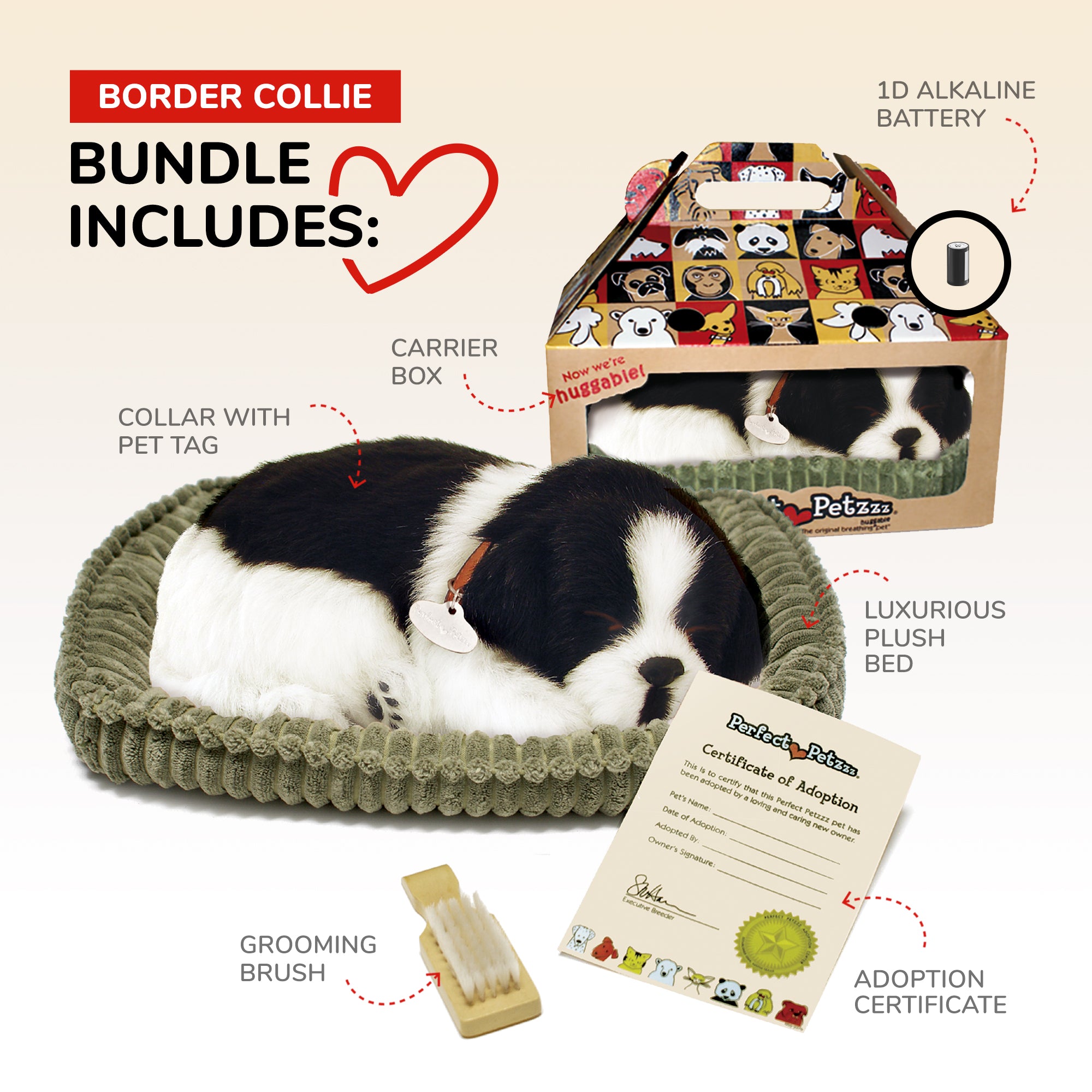 Border collie (puppy info, geschiedenis, karakter Border collie (puppy info, geschiedenis, karakter