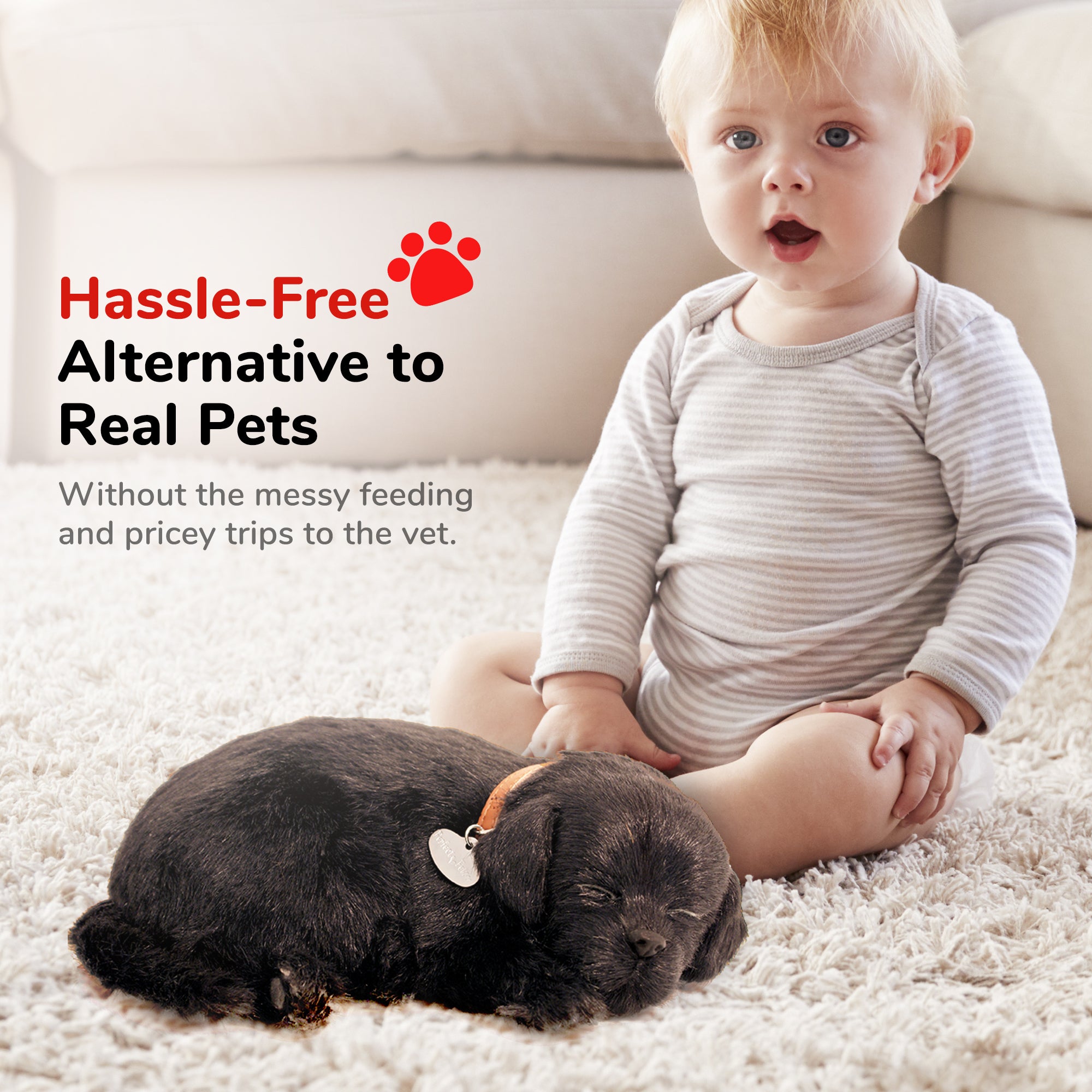 Original Black Lab Perfect Petzzz - image 4