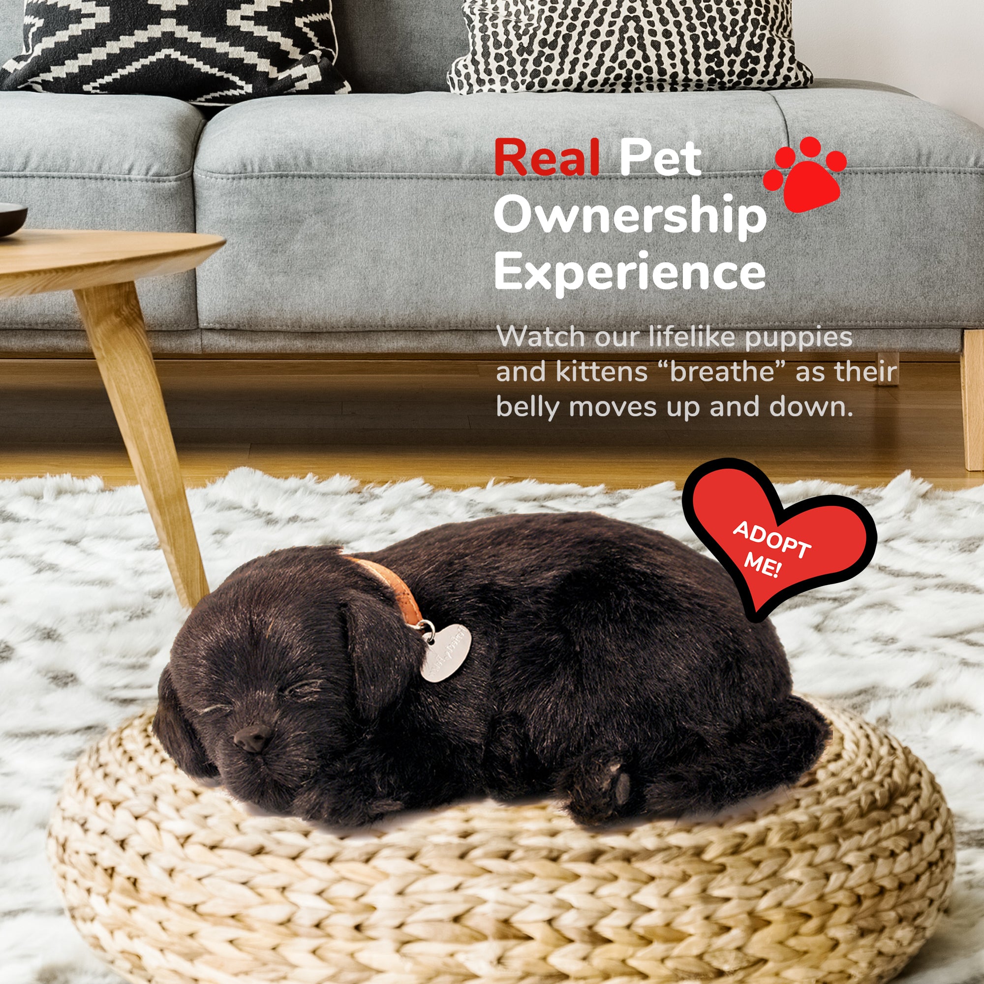 Original Black Lab Perfect Petzzz - image 5