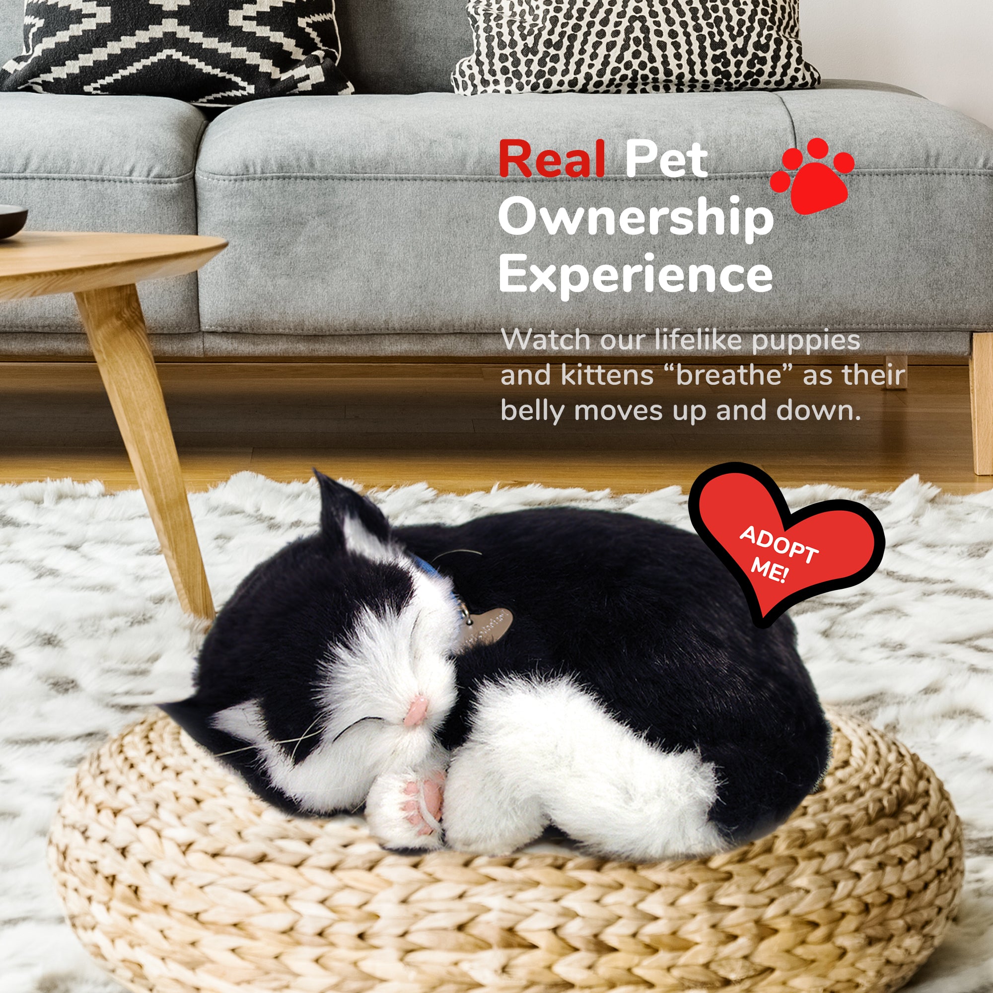 Original Black & White Kitten Perfect Petzzz - image 5