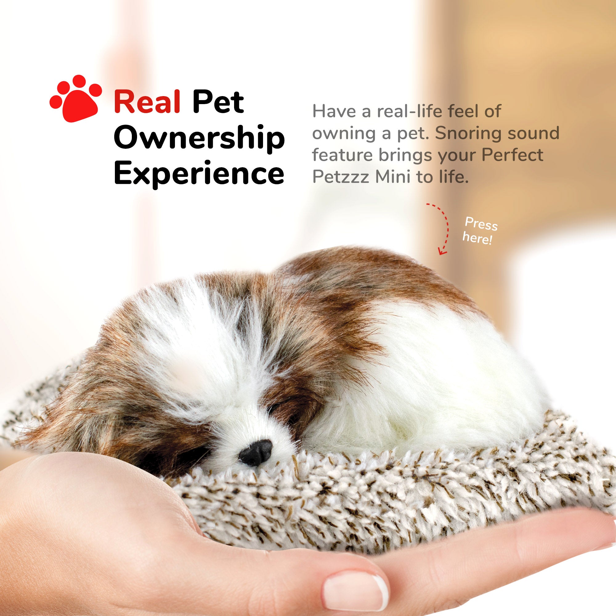 Mini Shih Tzu Perfect Petzzz