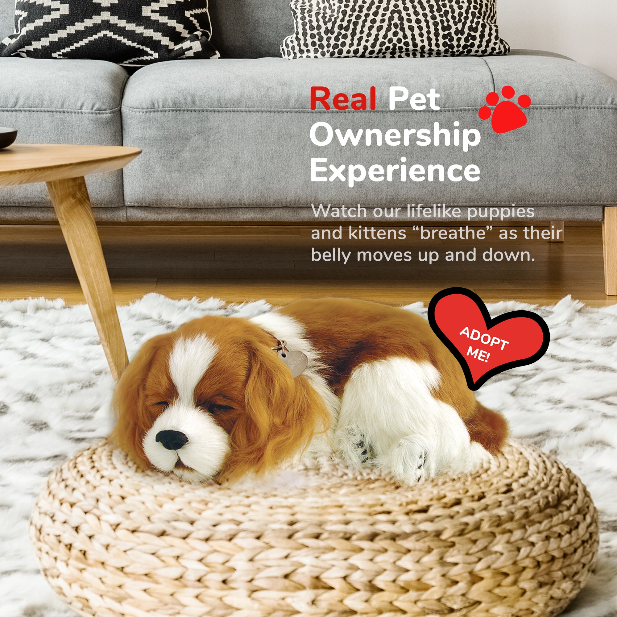 Original Cavalier King Charles Perfect Petzzz - image 5