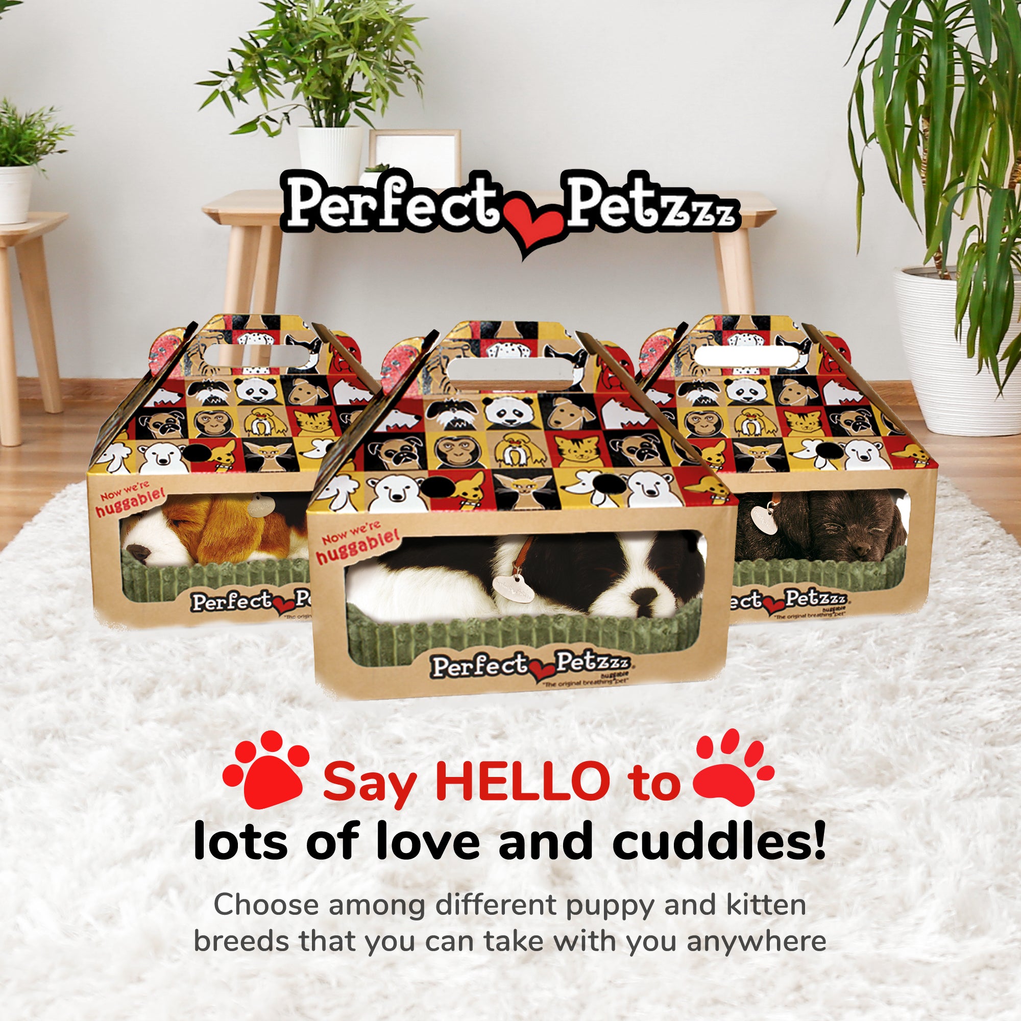 Original Border Collie Perfect Petzzz