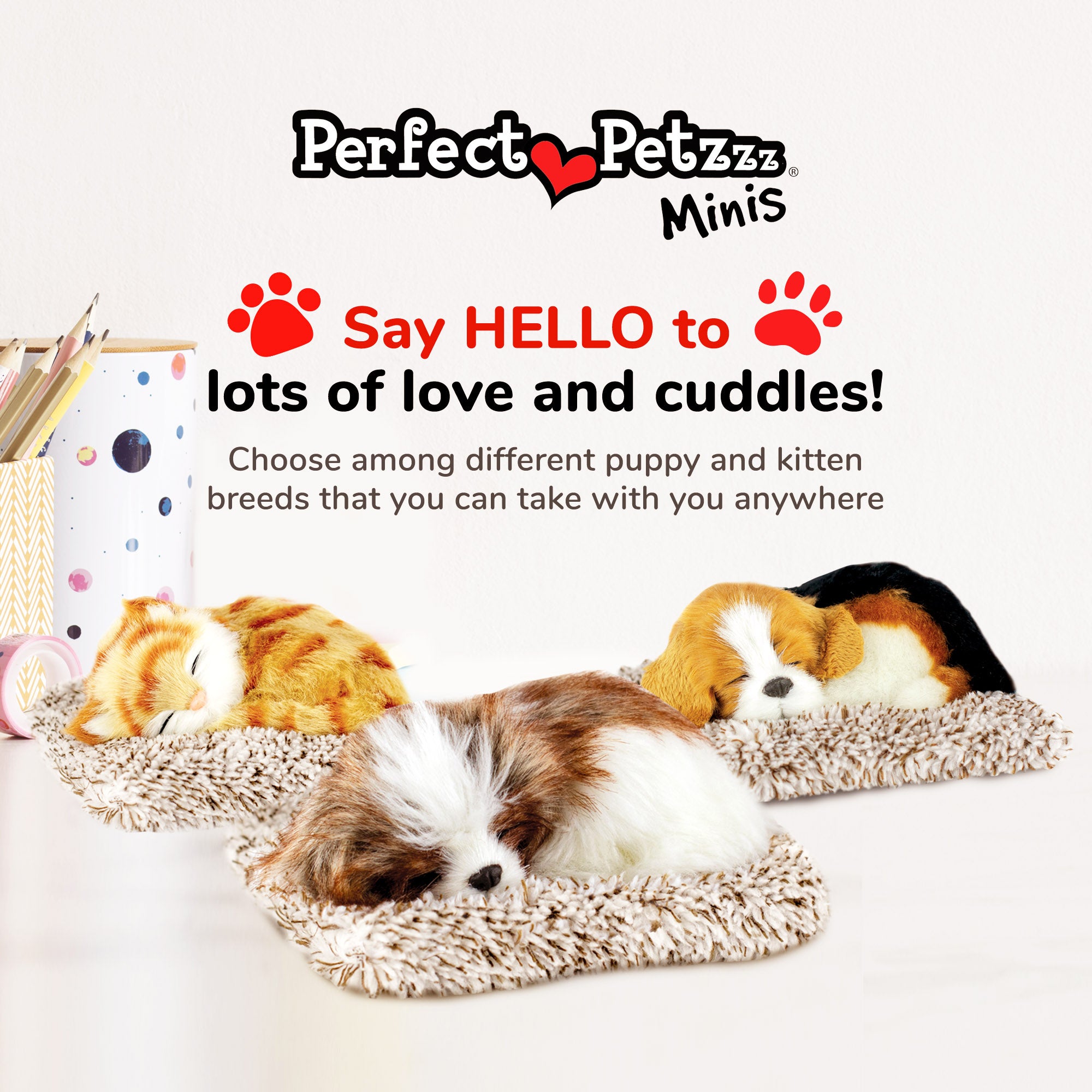Mini Shih Tzu Perfect Petzzz