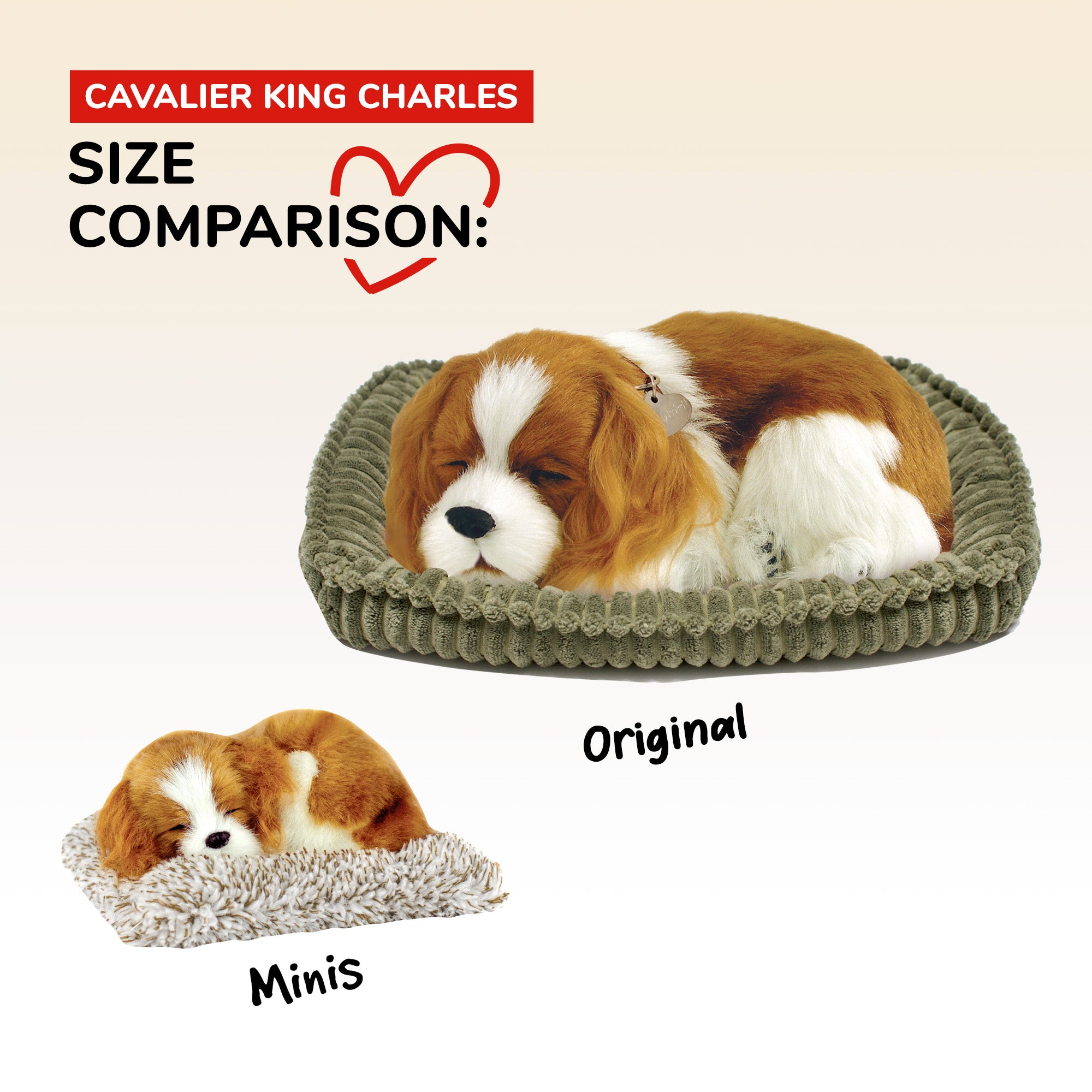 Mini Cavalier King Charles Perfect Petzzz - image 9