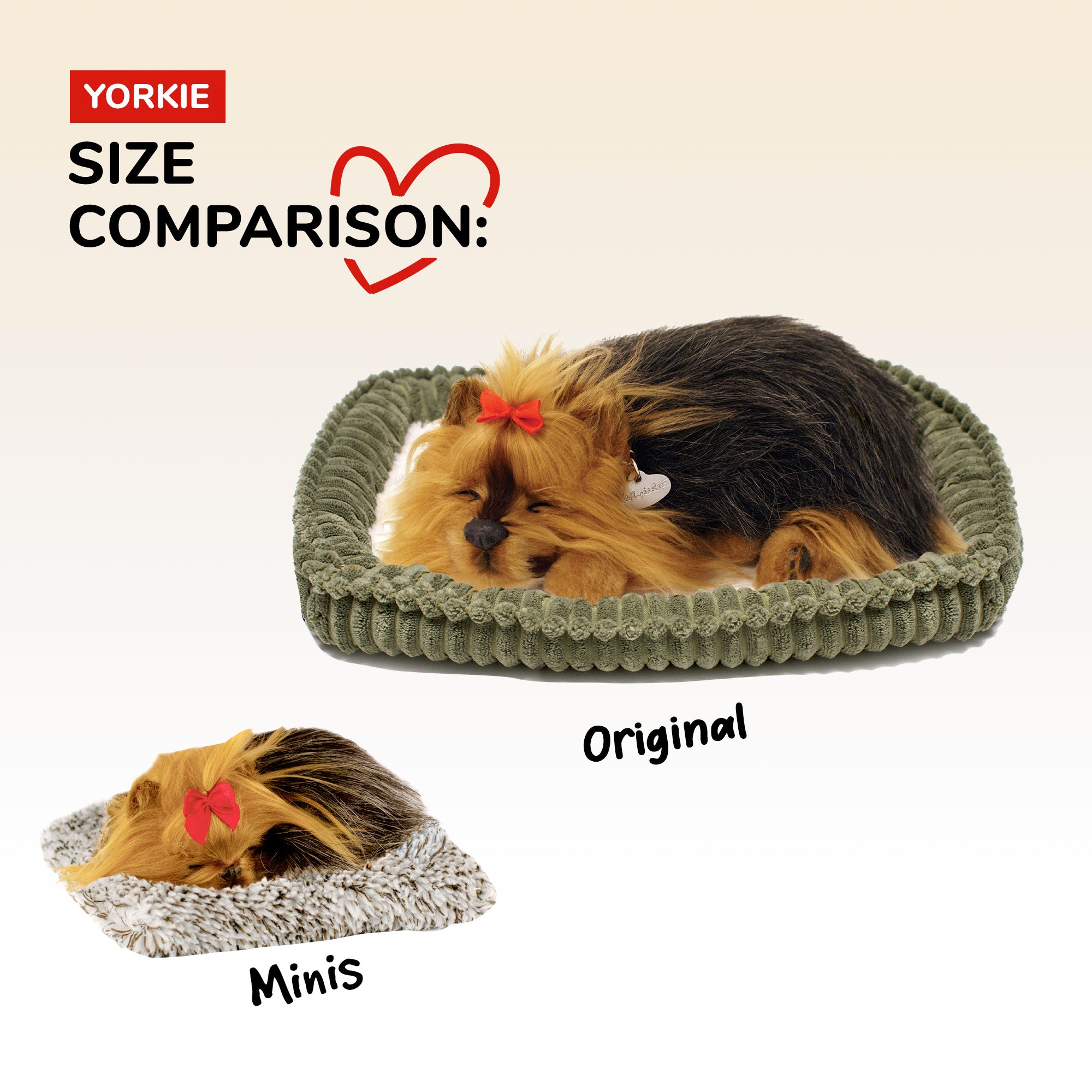 Mini Yorkie Perfect Petzzz - image 9
